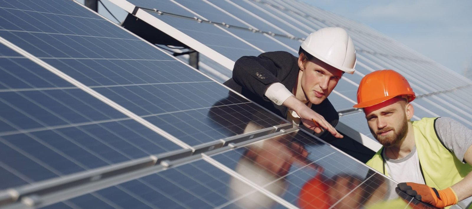 Saulės modulių apsauga